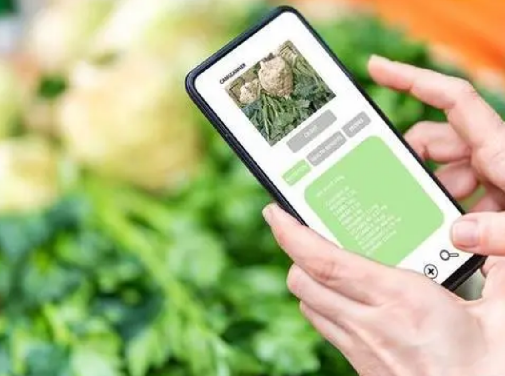 防偽標(biāo)簽定制服務(wù)，讓您的品牌更出眾